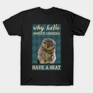 Owl Sweet cheeks have a seat T-Shirt